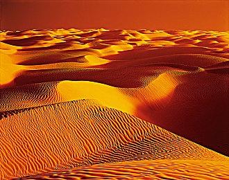 马斯克出价430亿美元收购推特