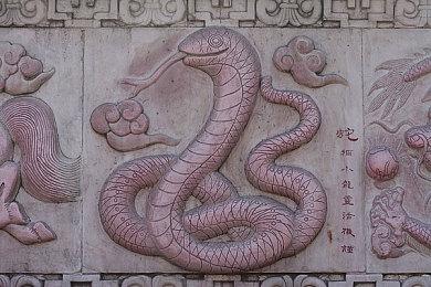 印度官方放松《绝地求生手游》封禁：试运营三个月