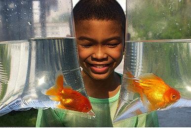 一个时代结束了！Wii U和3DS在线商店已正式关闭